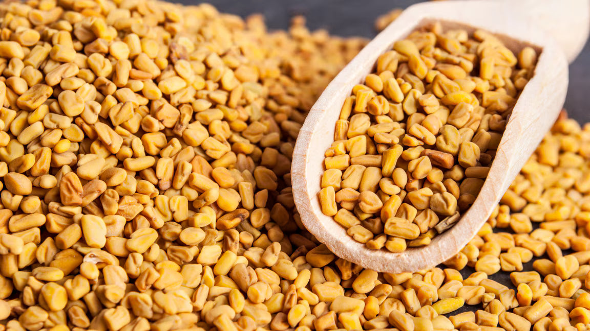 Fenugreek Seeds (میتھی دانہ)