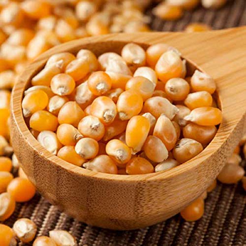 Pop Corn (پاپ کارن)
