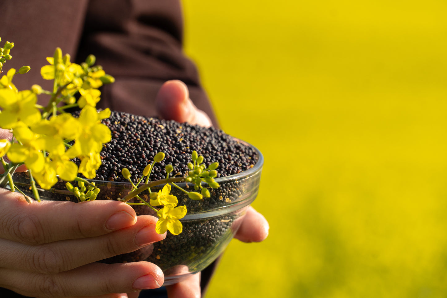 Mustard Seeds (رایٔ دانہ)