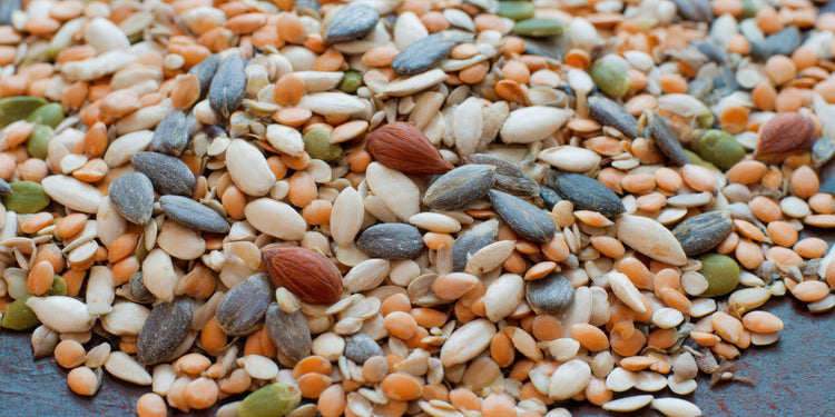 Seeds