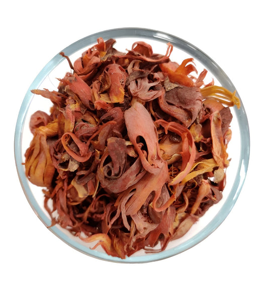 Mace (جلوتری)