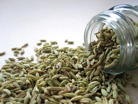 Fennel (سونف)