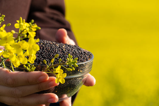 Mustard Seeds (رایٔ دانہ)